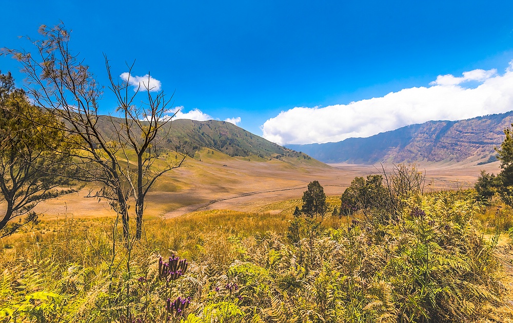 Tengger Semeru National Park II