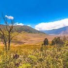 Tengger Semeru National Park II