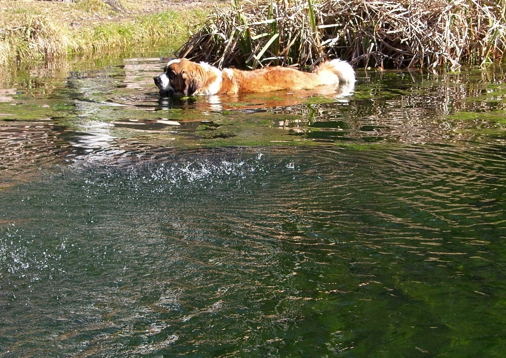 Tenia calor