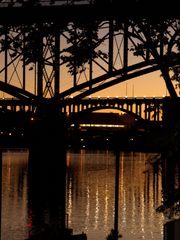 Tennessee River in Knoxville