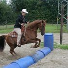 Tennessee Walker im "Sprung"