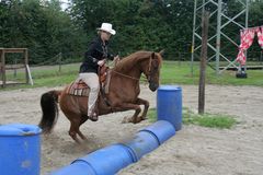 Tennessee Walker im "Sprung"