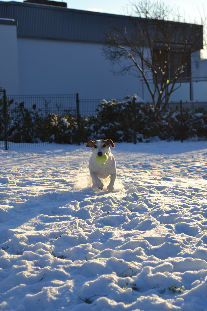 tennis im schnee