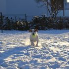 tennis im schnee