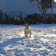 tennis im schnee