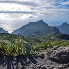 Teno Gebirge - Teneriffa