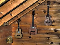 tenor ukuleles: maestro & dupont & kokio