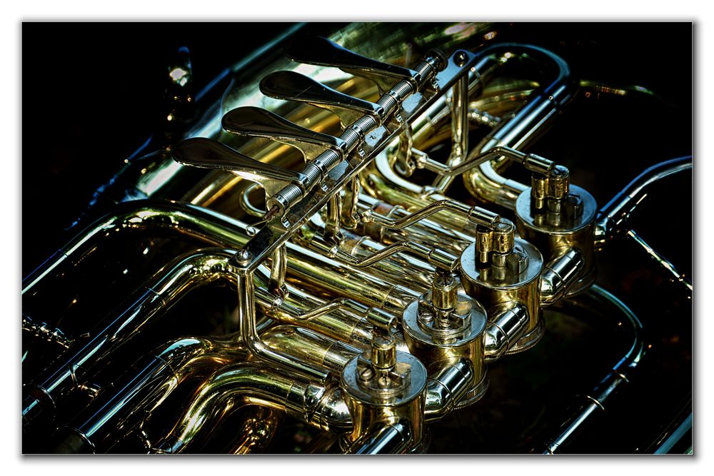 Tenorhorn Foto & Bild kunstfotografie & kultur, musik & konzert