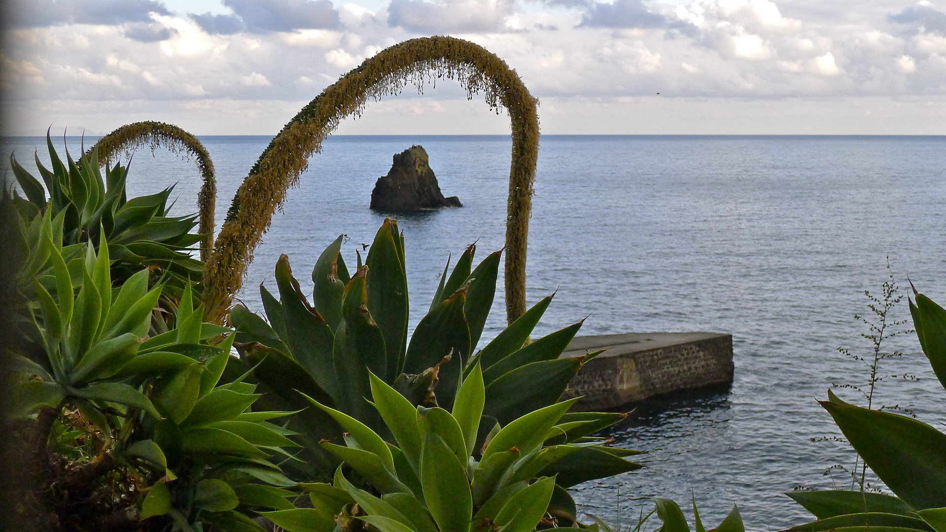 Tentacules terrestres.