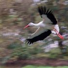 tentativo di panning