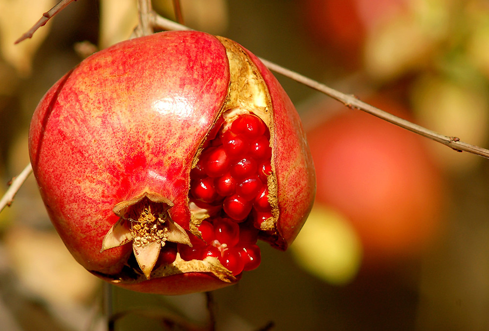 TENTAZIONI D'AUTUNNO