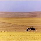 Tente de nomades sur les hauts plateaux