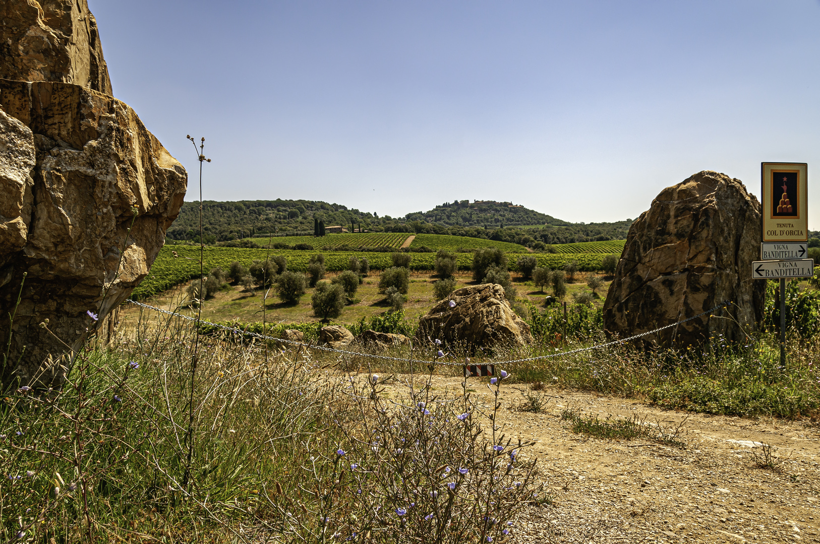 Tenuta Col d'Orcia