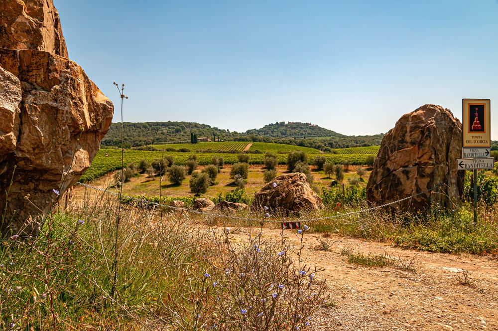 Tenuta Col d'Orcia