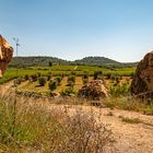 Tenuta Col d'Orcia