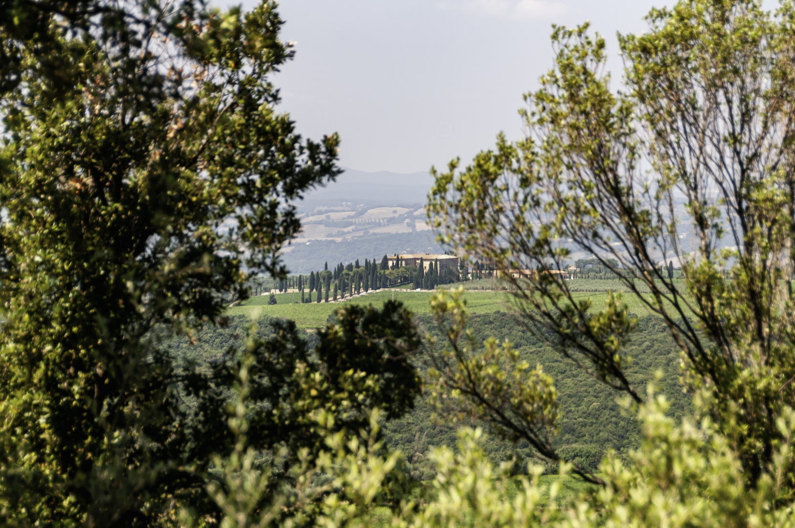 Tenuta di Argiano