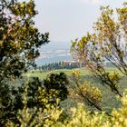 Tenuta di Argiano