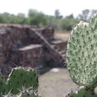 TEOTIHUACAN