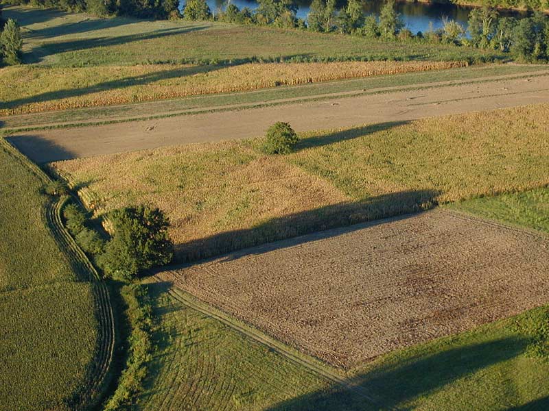 Teppichlandschaft