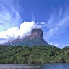 Tepui seen from river Carrao / Canaima, Venezuela 2001