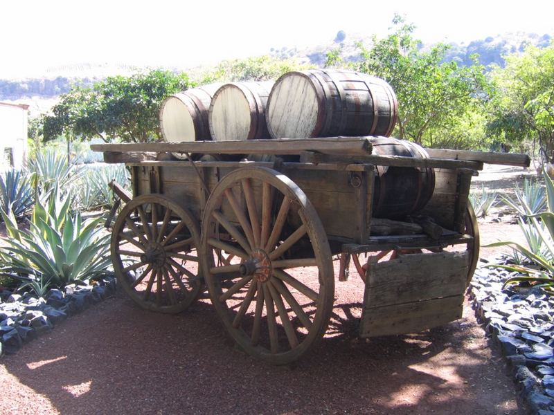 Tequila´s transport