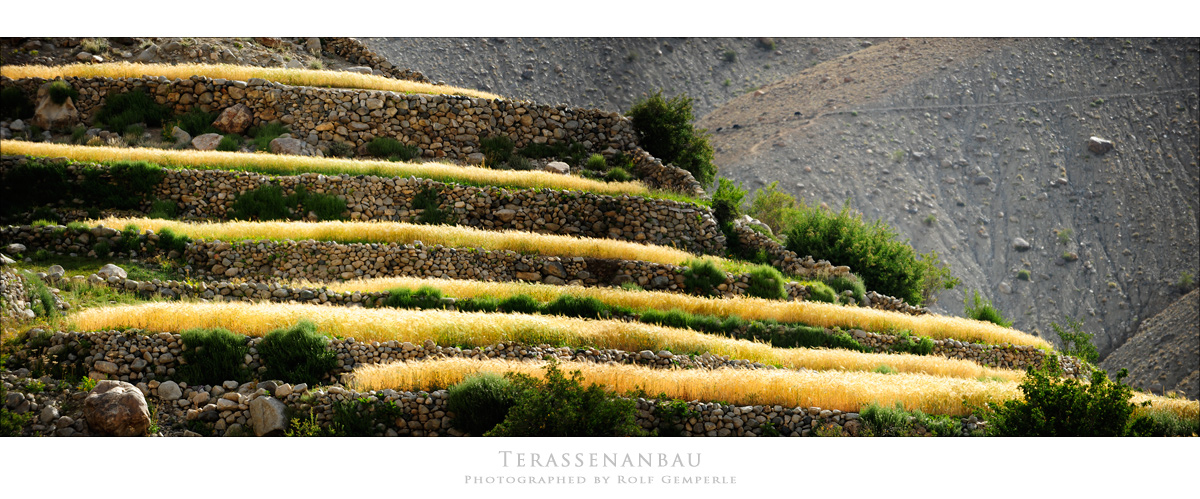 Terassenanbau