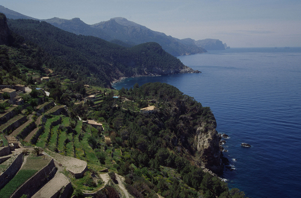 Terassenfelder auf Mallorca