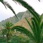 Terassenfelder bei Hermigua, Gomera