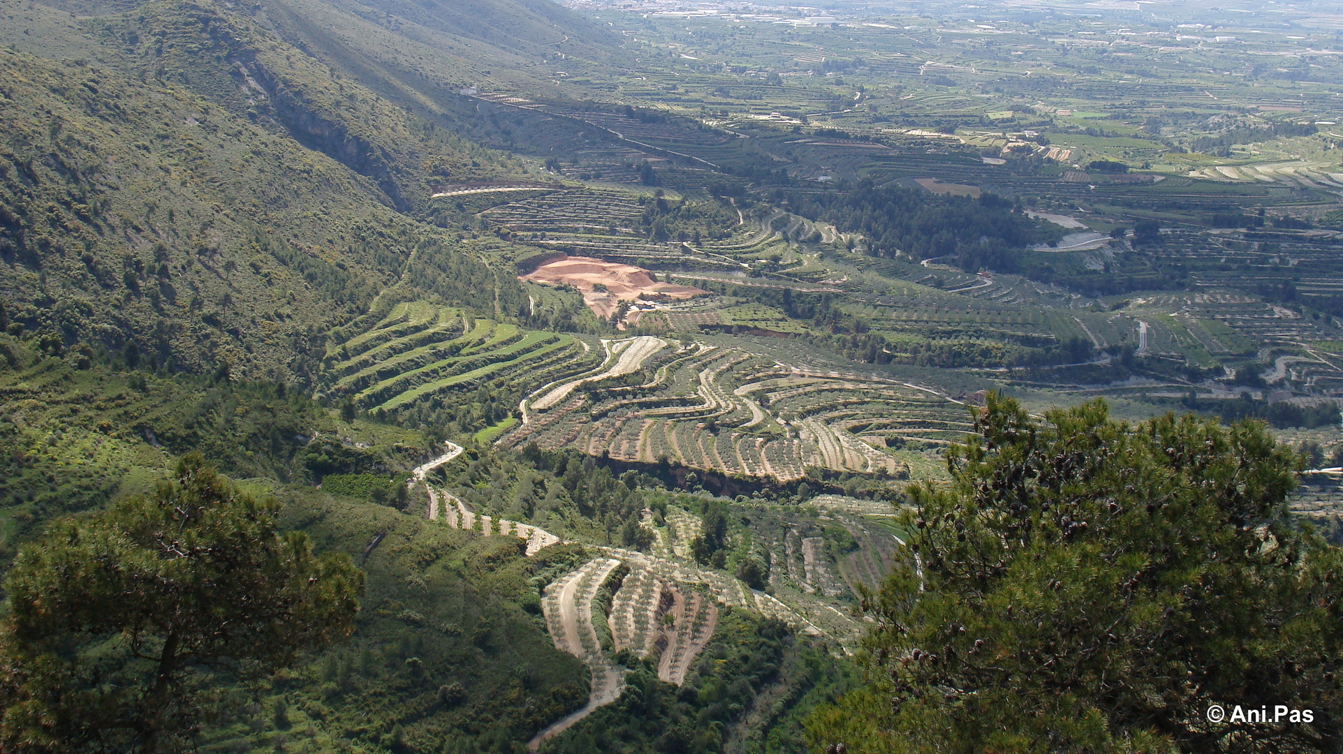 Terassenlandschaft zu Füßen des Benicadell - Spanien