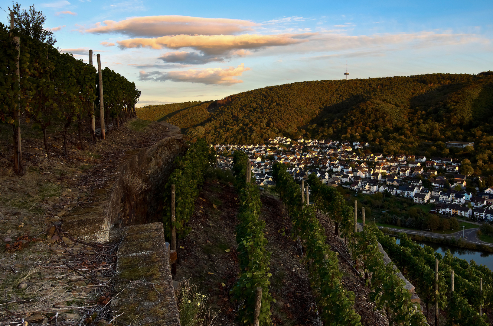 Terassenmosel