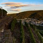 Terassenmosel