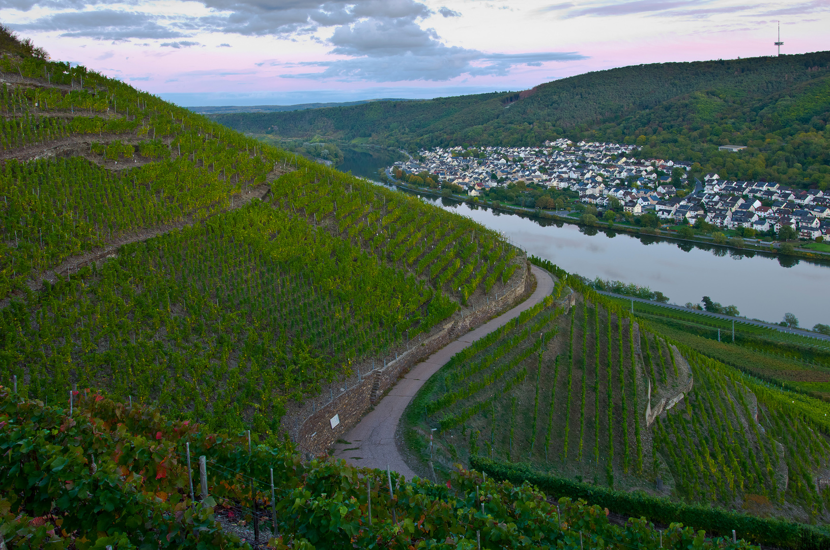 Terassenmosel, Blick auf Lay