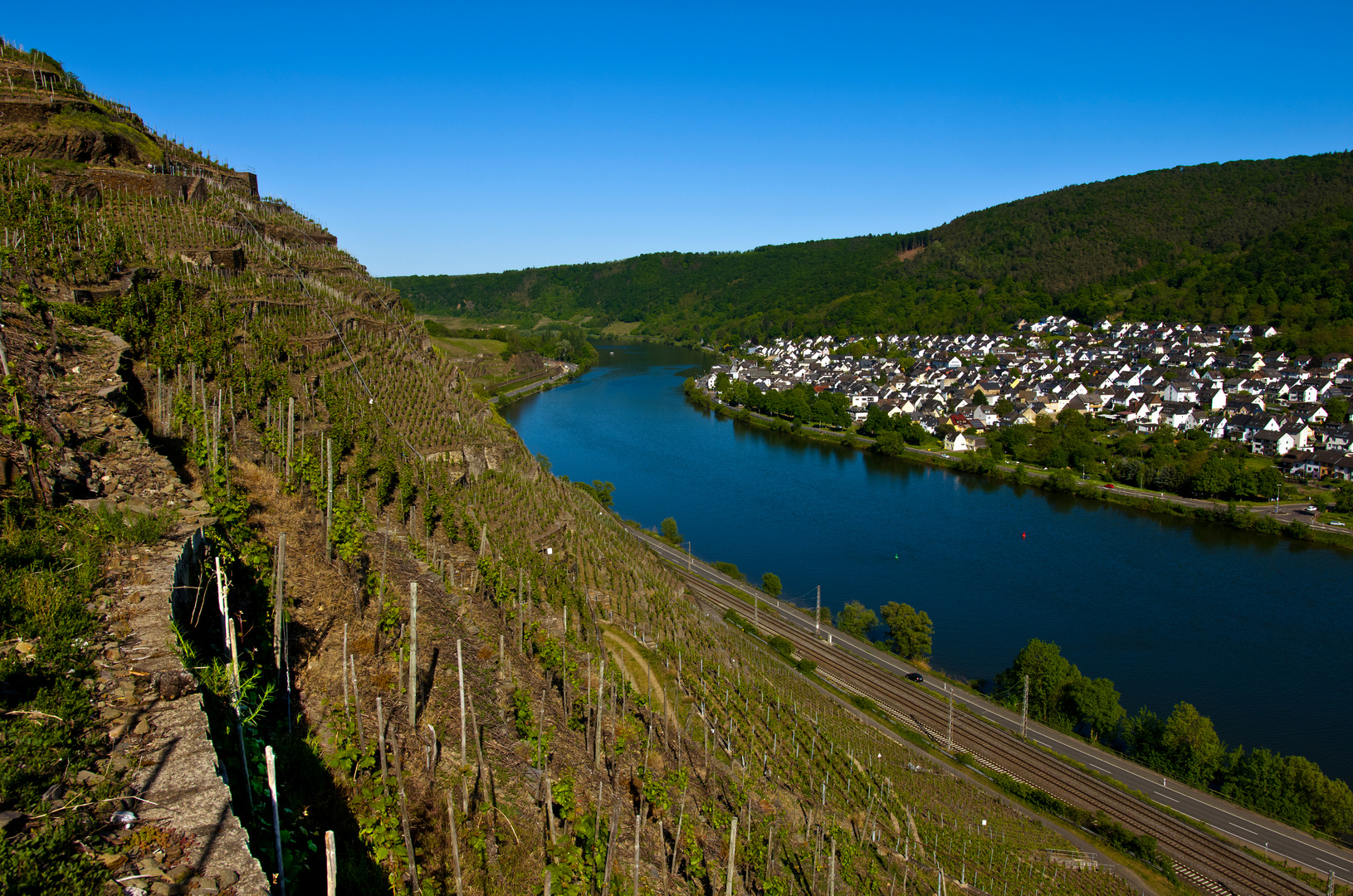 Terassenmosel, Blick auf Lay