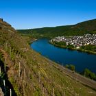 Terassenmosel, Blick auf Lay