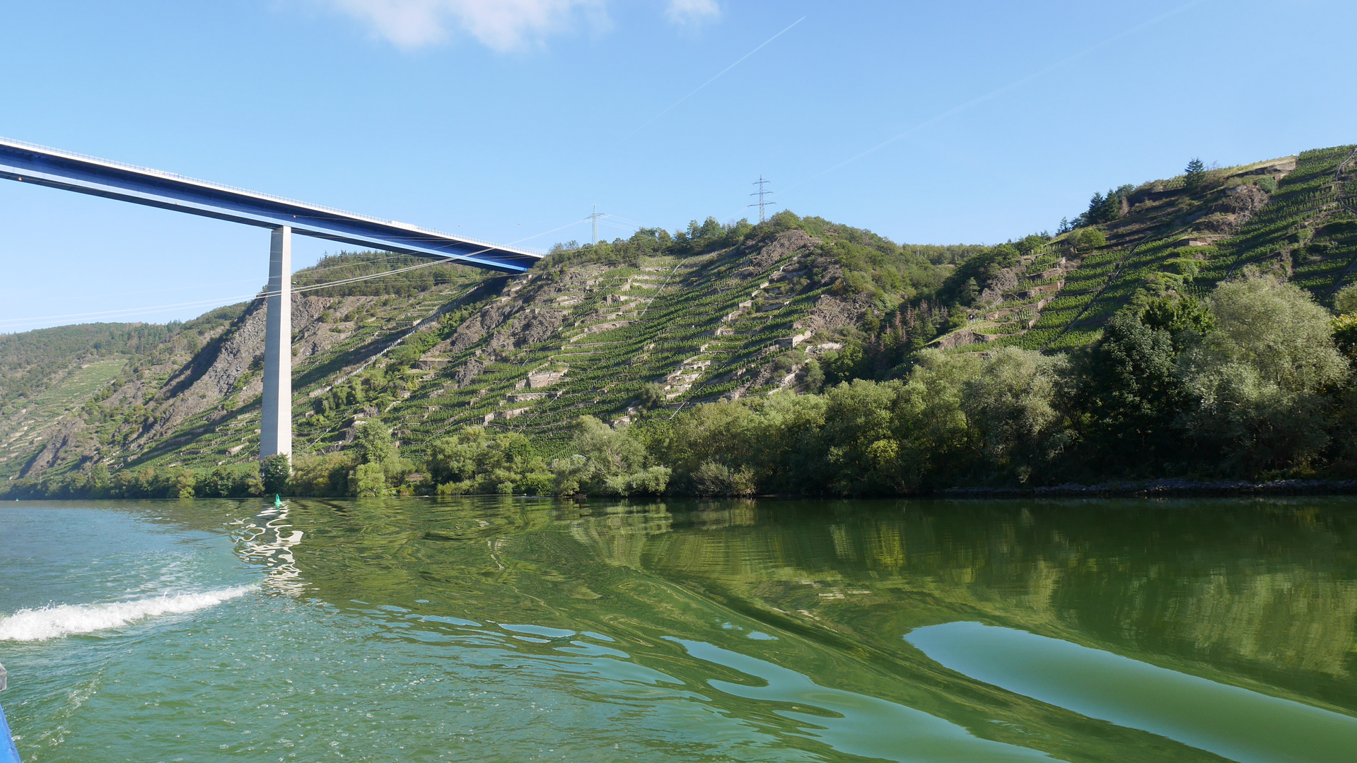 Terassenmosel im Sommer