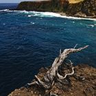 Terceira - Alagoa de Fajazinha