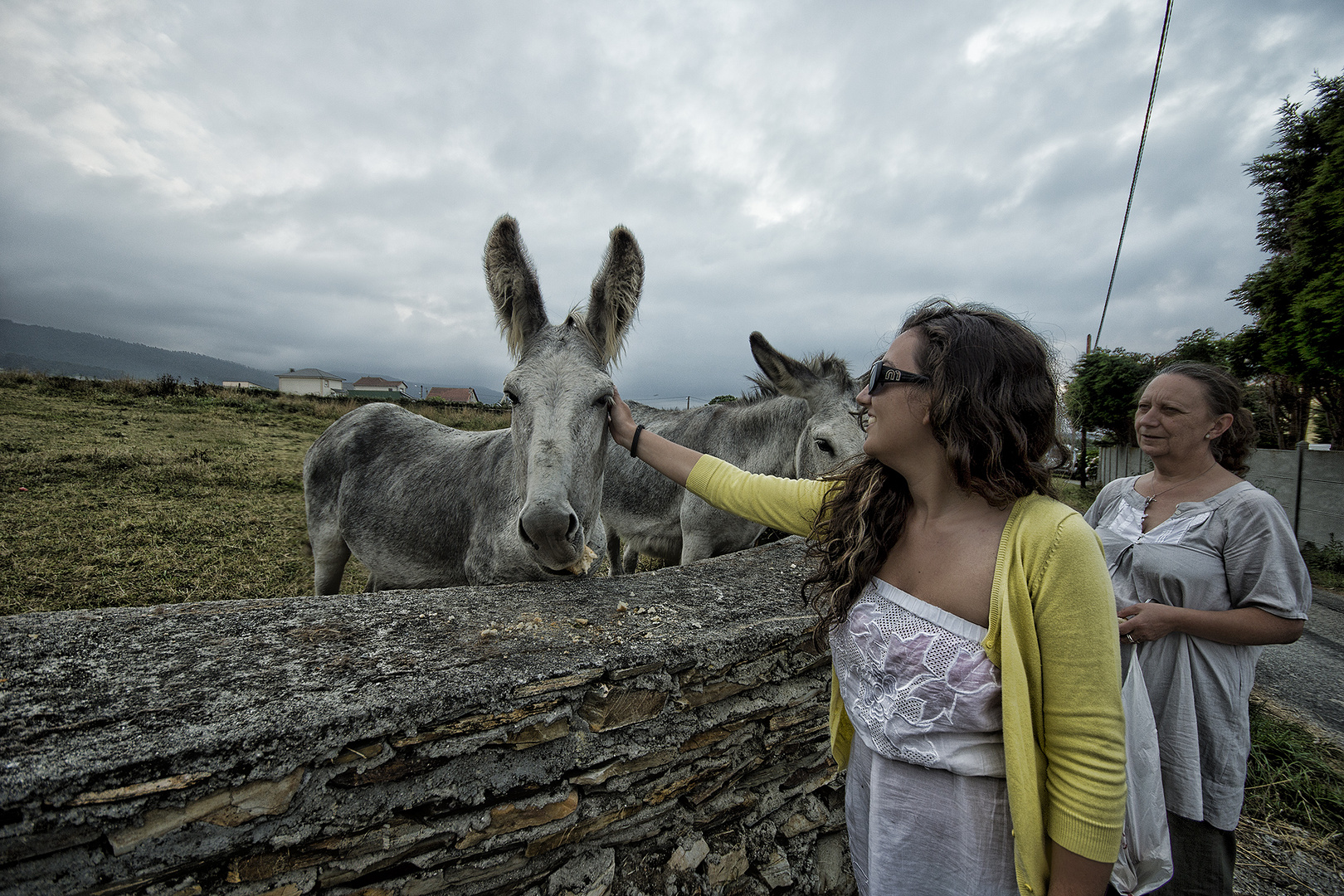 TERE Y LOS BURROS