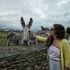 TERE Y LOS BURROS