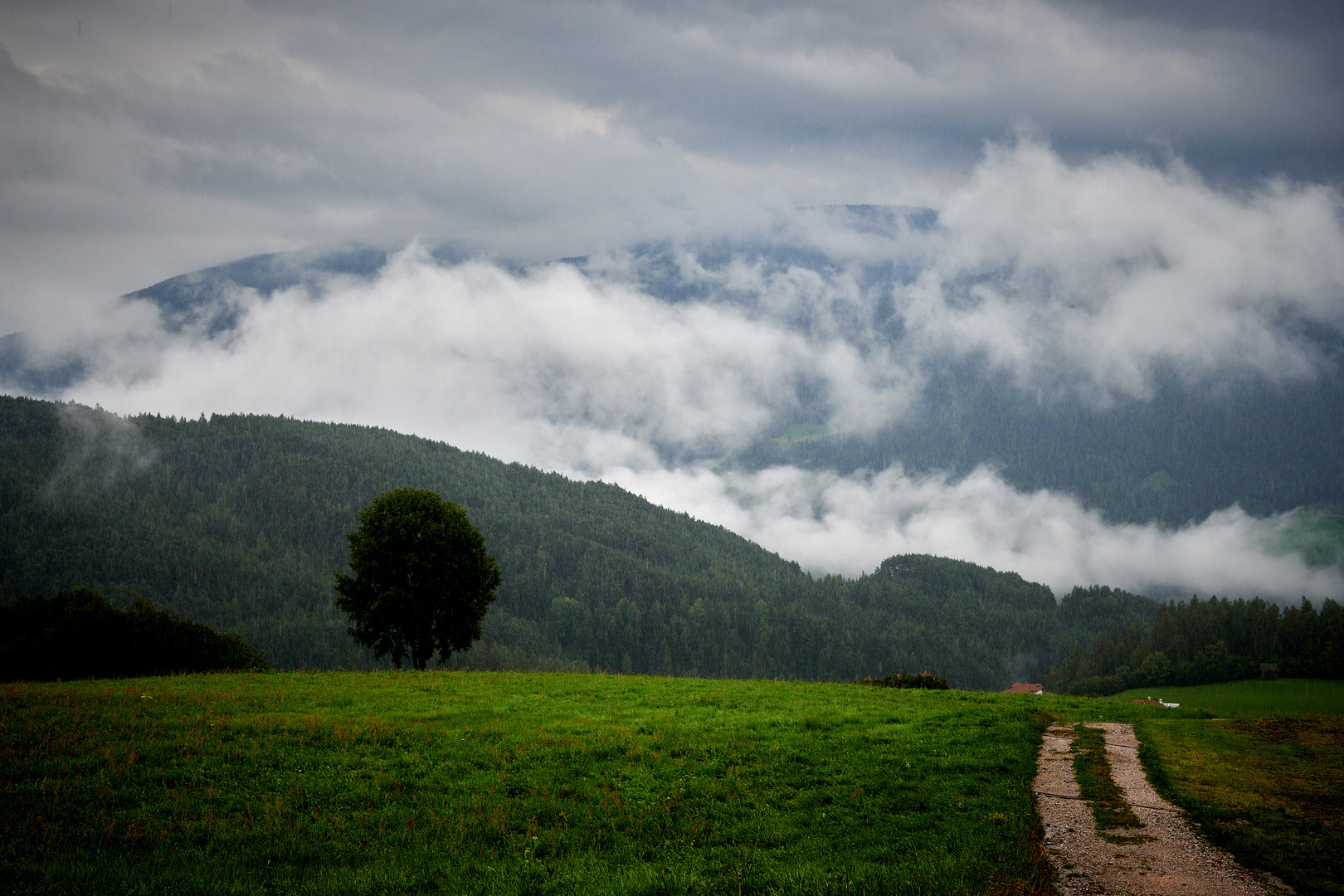 Terenten im Nebel