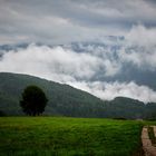 Terenten im Nebel