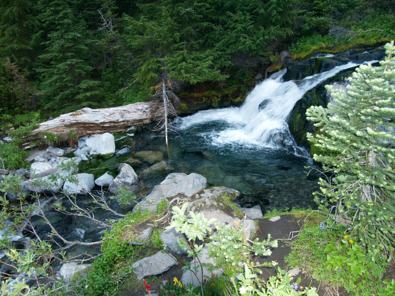 terfill creek