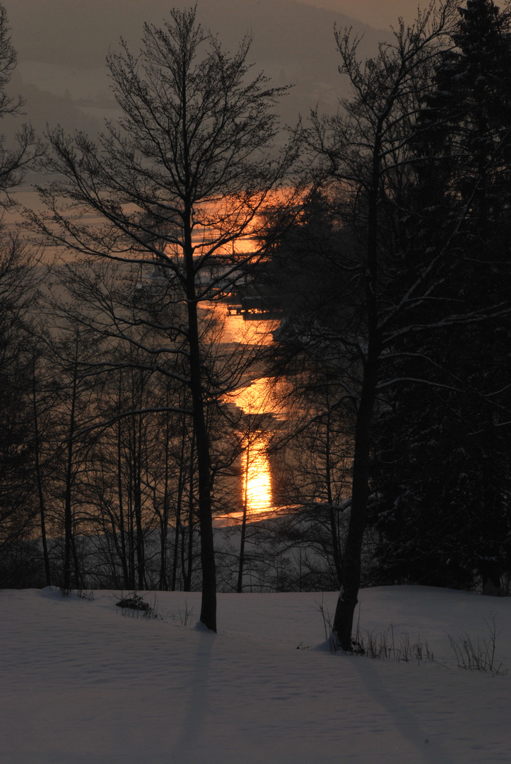 Tergensee im Sonnenstich