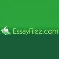 Term Paper Online