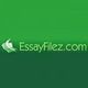 Term Paper Online