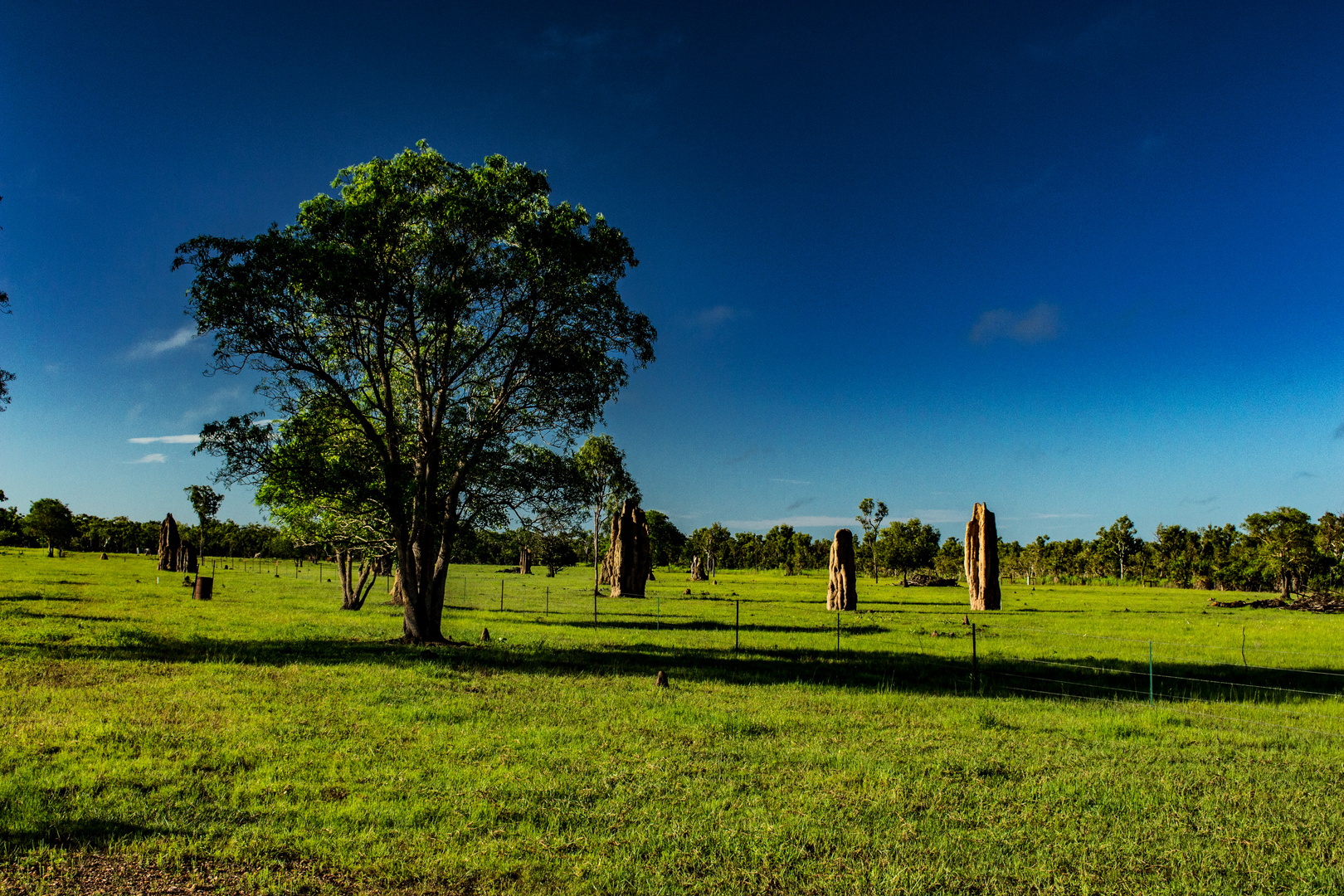 Termite Hills