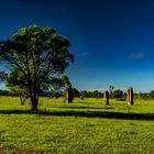 Termite Hills