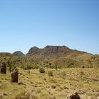 Termite mounds in Bungle Bungle