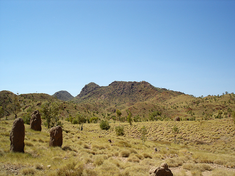 Termite mounds in Bungle Bungle
