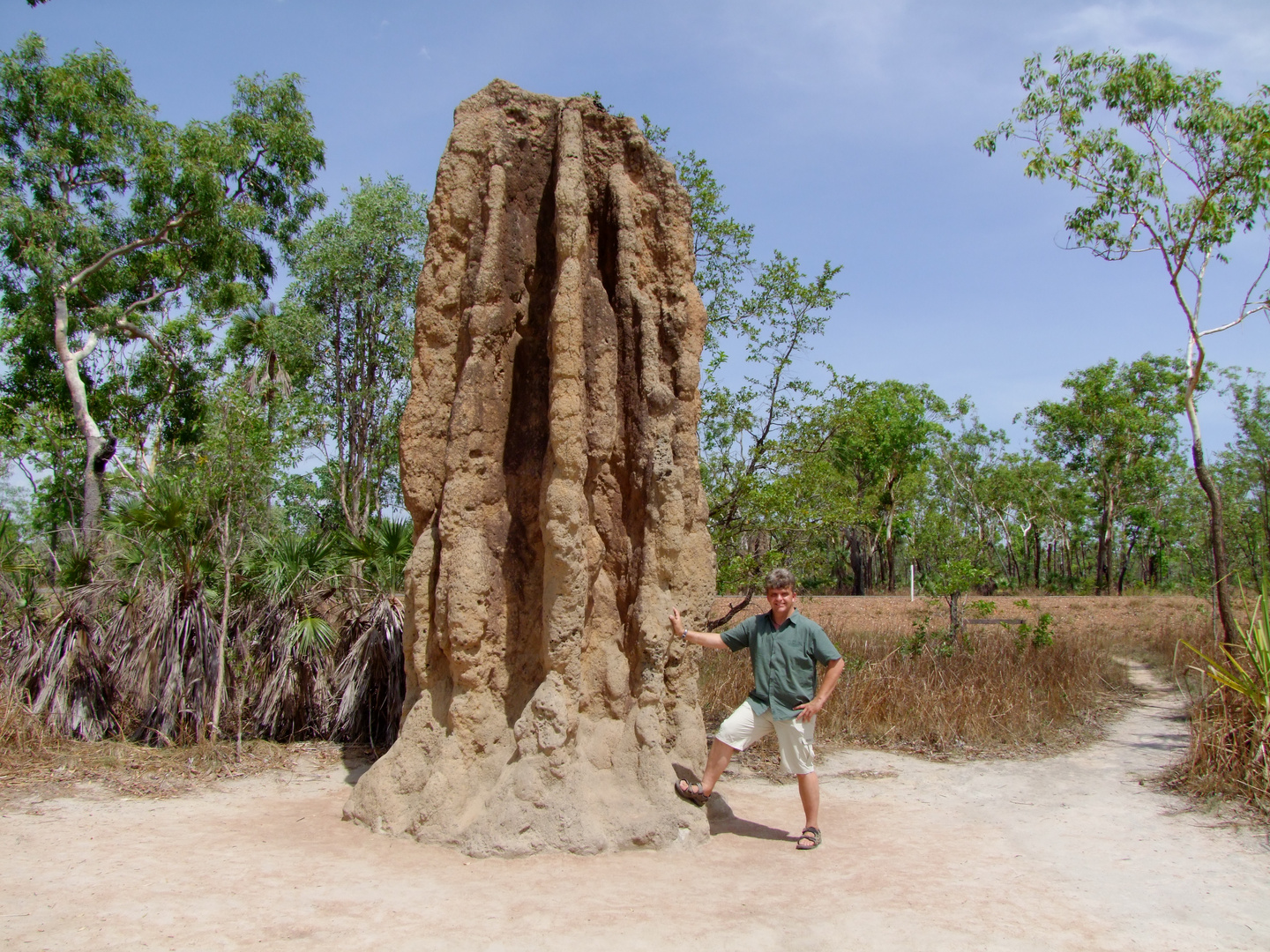 Termitenbau im Litchfield Nationalpark