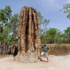 Termitenbau im Litchfield Nationalpark